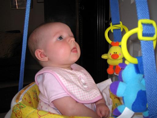 2006-03-12.bouncer.seren-snyder.3.venice.fl.us 