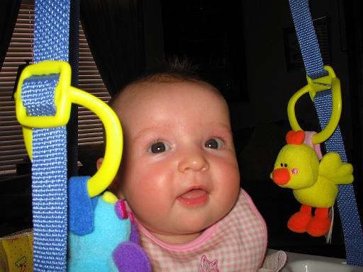 2006-03-12.bouncer.seren-snyder.4.venice.fl.us 