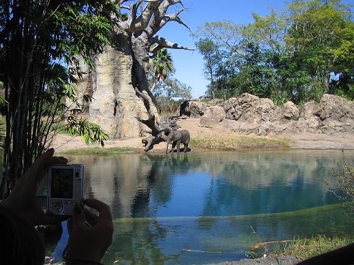 2006-10-24.safari.5.animal_kingdom.orlando.fl.us 