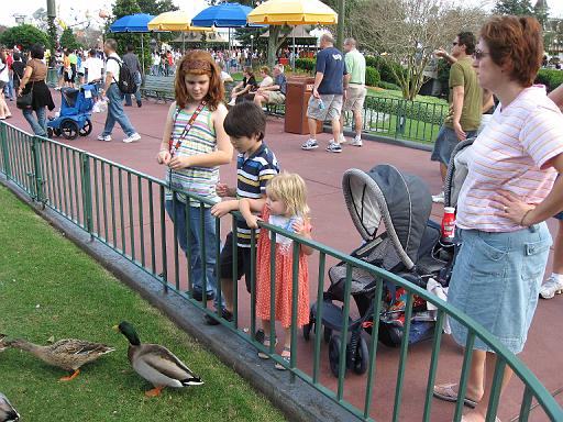 2007-12-23.feeding.ducks.02.seren-snyder.magic_kingdom.disney.orlando.fl.us 