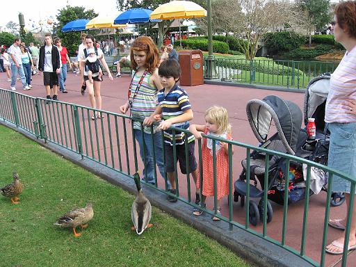 2007-12-23.feeding.ducks.04.seren-snyder.magic_kingdom.disney.orlando.fl.us 