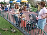 2007-12-23.feeding.ducks.02.seren-snyder.magic_kingdom.disney.orlando.fl.us.jpg