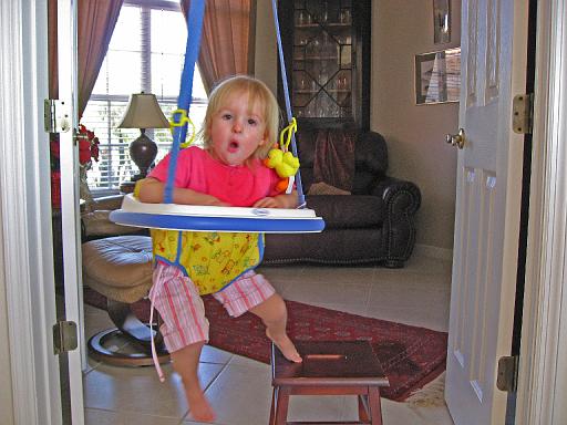 2007-12-21.bouncer.seren-snyder.13.venice.fl.us 