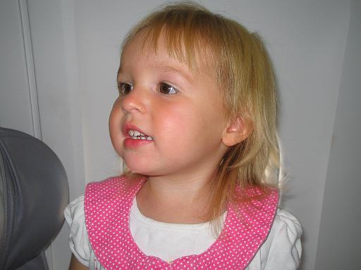 2007-09-13.airplane.seren-snyder.venice.fl.us 