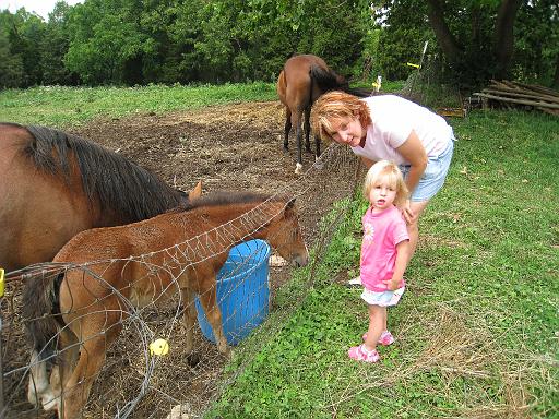 2008-07-04.deer_run_stables.15.nessa-seren-snyder.richmond.ky.us 