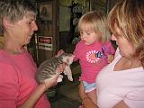 2008-07-04.deer_run_stables.01.sandy-nessa-seren-snyder.richmond.ky.us.jpg