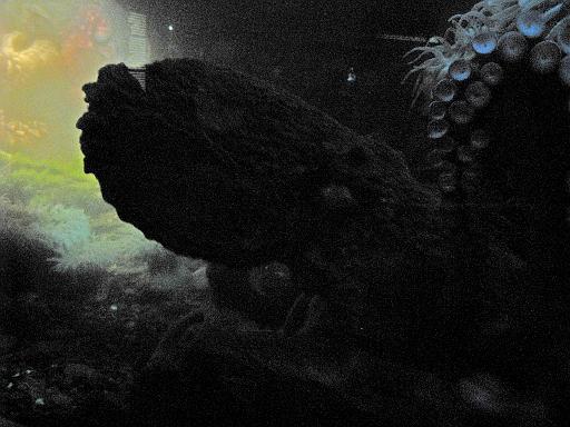 2008-04-11.new_england_aquarium.14.octopus.boston.ma.us 