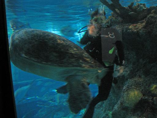 2008-04-11.new_england_aquarium.19.boston.ma.us 