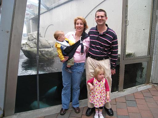 2008-04-11.new_england_aquarium.32.harbor_seals.portrait.ronan-nessa-kevin-seren-snyder.fav.boston.ma.us 