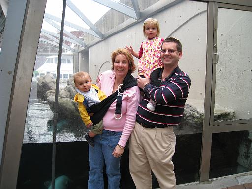 2008-04-11.new_england_aquarium.33.harbor_seals.portrait.ronan-nessa-kevin-seren-snyder.boston.ma.us 