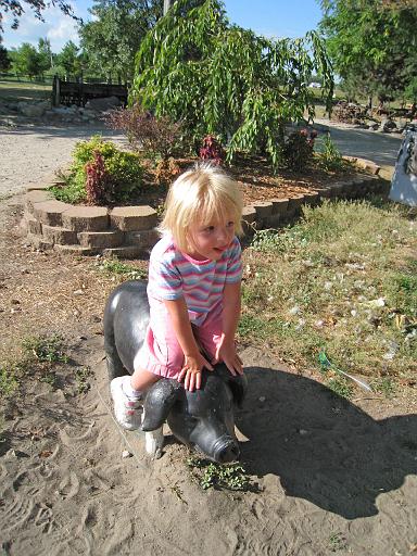 2008-08-20.calder_dairy.02.seren-snyder.carleton.mi.us 
