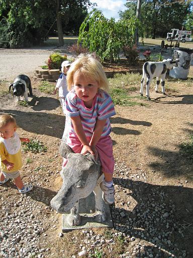 2008-08-20.calder_dairy.05.seren-snyder.carleton.mi.us 