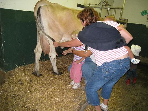 2008-08-20.calder_dairy.07.seren-snyder.carleton.mi.us 