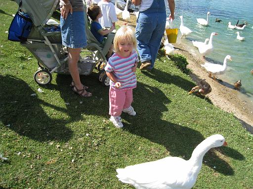 2008-08-20.calder_dairy.19.seren-snyder.carleton.mi.us 