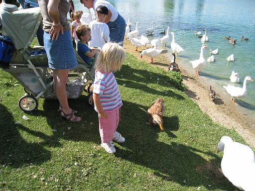 2008-08-20.calder_dairy.20.seren-snyder.carleton.mi.us 
