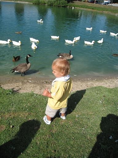 2008-08-20.calder_dairy.22.ronan-snyder.carleton.mi.us 