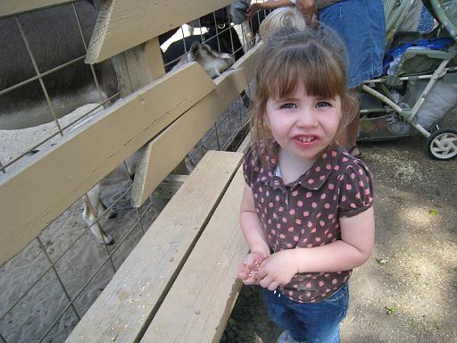 2008-08-20.calder_dairy.28.alex.carleton.mi.us 