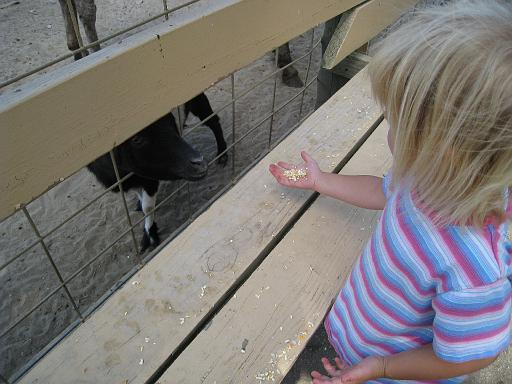 2008-08-20.calder_dairy.30.seren-snyder.carleton.mi.us 