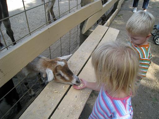 2008-08-20.calder_dairy.32.seren-snyder.carleton.mi.us 