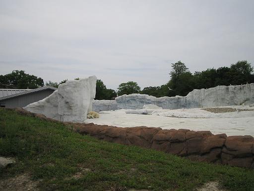 2006-06-02.polar_bear.1.detroit_zoo.mi.us 