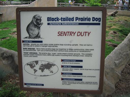 2006-06-02.prairie_dog.0.detroit_zoo.mi.us 