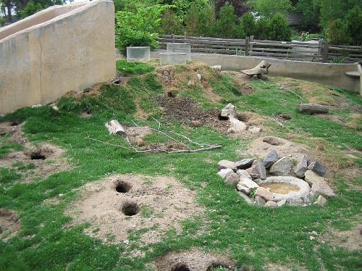 2006-06-02.prairie_dog.1.detroit_zoo.mi.us 