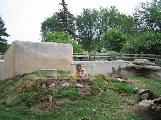 2006-06-02.prairie_dog_imposters.2.detroit_zoo.mi.us 