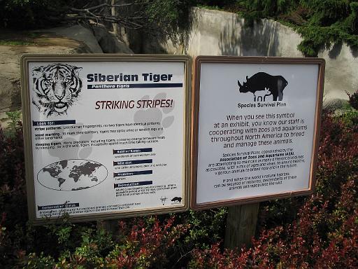 2006-06-02.tiger.0.detroit_zoo.mi.us 