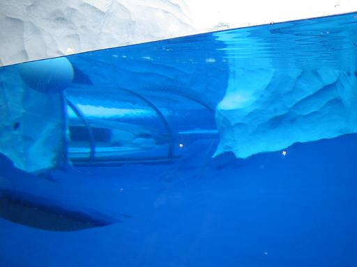 2006-06-02.view.tunnel.1.detroit_zoo.mi.us 