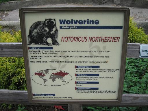 2006-06-02.wolverine.0.detroit_zoo.mi.us 