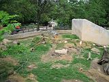 2006-06-02.prairie_dog_imposters.1.detroit_zoo.mi.us.jpg