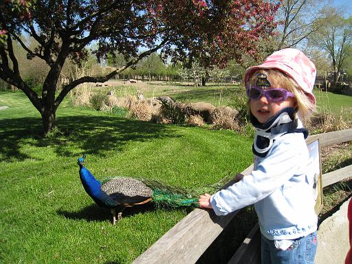 2008-05-09.portrait.007.seren-snyder.fav.detroit_zoo.mi.us 