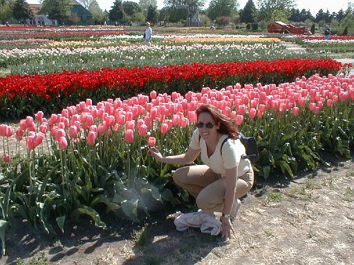 1999-05-00.bulb_gardens.nessa-snyder.1.holland.mi.us 