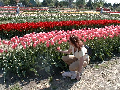 1999-05-00.bulb_gardens.nessa-snyder.2.holland.mi.us 