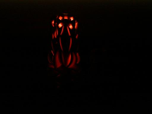 1999-05-00.candles.4.holland.mi.us 