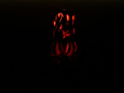 1999-05-00.candles.5.holland.mi.us 