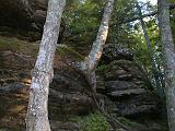 2000-07-06.trees.growing.rock.1.munising.mi.us.jpg