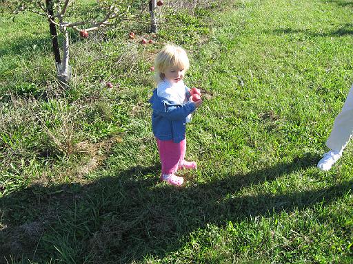2007-10-09.farm.orchard.apple.16.seren-snyder-sandy.plymouth.mi.us 