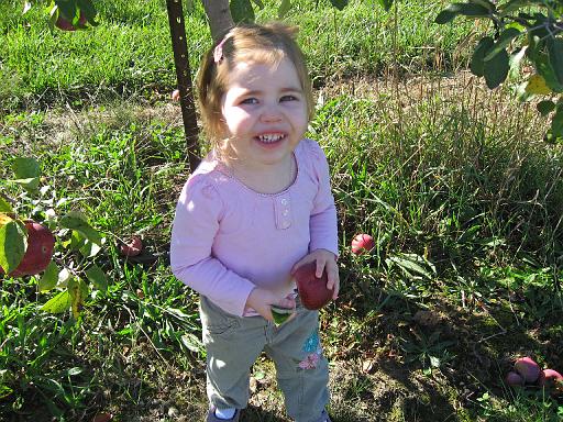 2007-10-09.farm.orchard.apple.24.alex.plymouth.mi.us 