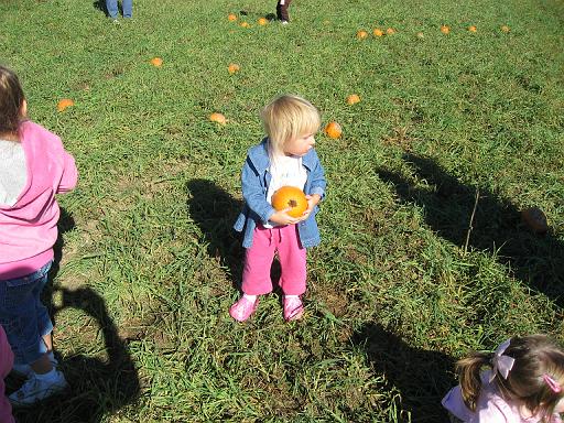 2007-10-09.farm.pumpkin_patch.34.seren-snyder.plymouth.mi.us 