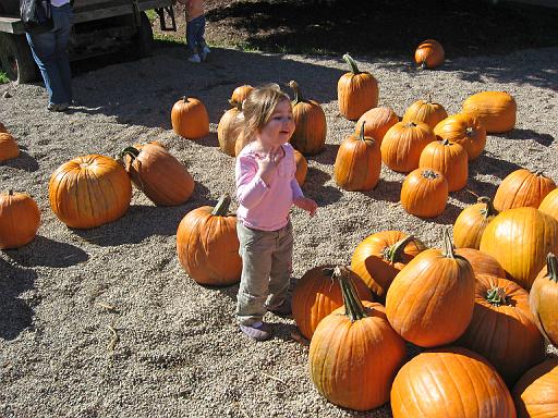 2007-10-09.farm.pumpkin_patch.52.alex.plymouth.mi.us 
