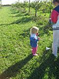 2007-10-09.farm.orchard.apple.17.seren-snyder-sandy.plymouth.mi.us.jpg