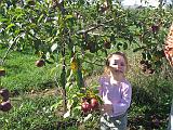 2007-10-09.farm.orchard.apple.23.alex.plymouth.mi.us.jpg