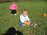 2007-10-09.farm.pumpkin_patch.40.elliot.plymouth.mi.us.jpg