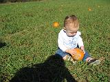2007-10-09.farm.pumpkin_patch.41.elliot.plymouth.mi.us.jpg
