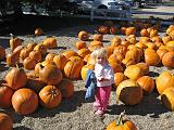 2007-10-09.farm.pumpkin_patch.53.seren-snyder.plymouth.mi.us.jpg