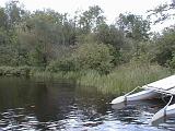 1999-08-24.hobie_cat.creek.lake_cabin.cook.mn.us