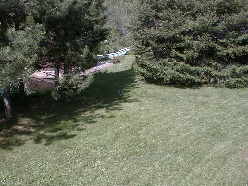 2001-07-00.ducks.lawn.2.lake_cabin.cook.mn.us 