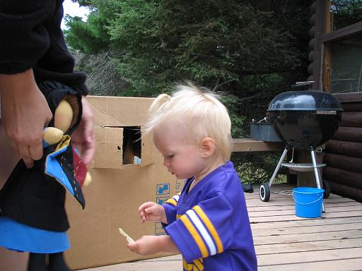 2005-08-18.cabin.gracie.1.njs.lake_cabin.cook.mn.us 