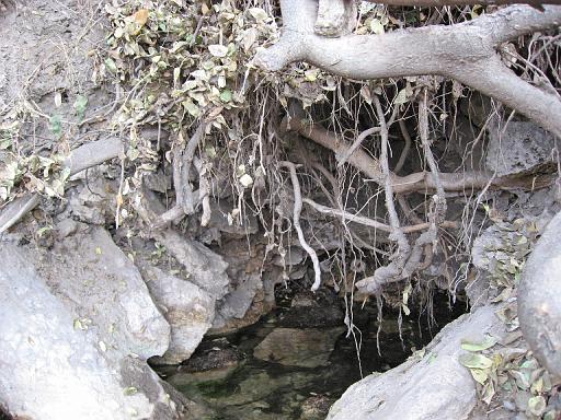 2007-11-20.montezuma_well.12.verde_valley.az.us 